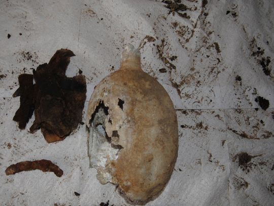 Ludzkie szczątki na placu budowy