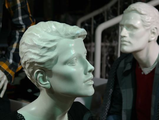 Manekin głowa najważniejsze rodzaje