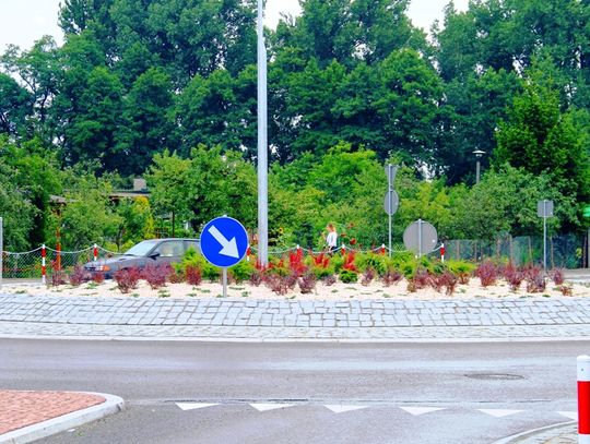 Miasto zadba o utrzymanie zieleni na powiatowych rondach