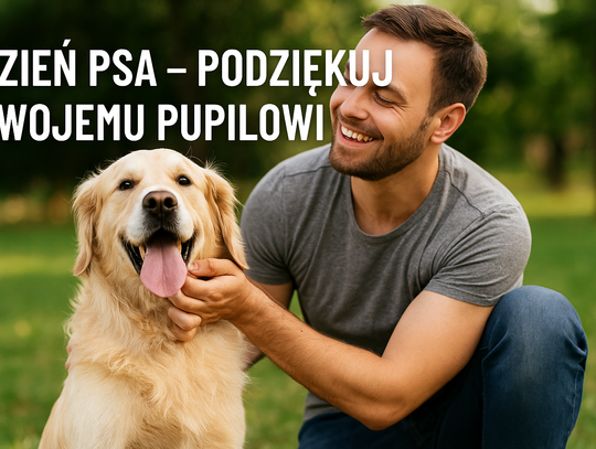 Międzynarodowy Dzień Psa – wyjątkowe święto naszych czworonożnych przyjaciół