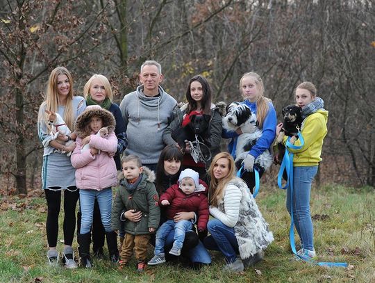 Mikołaj dla zwierzaka