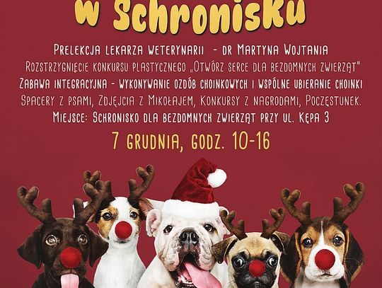 Mikołajkowy Dzień Otwarty w Schronisku  