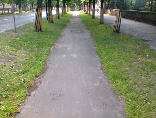 Moja piękna Antoniego