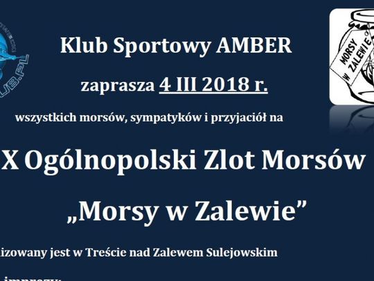 Morsy raz jeszcze w Zalewie