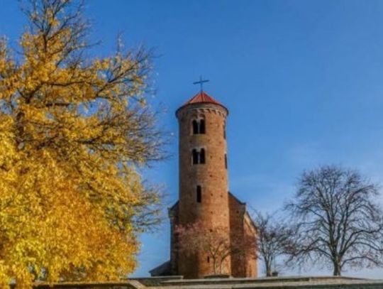 Mówią "NIE" dla wycinki morwy czarnej przy Kościółku św. Idziego w Inowłodzu