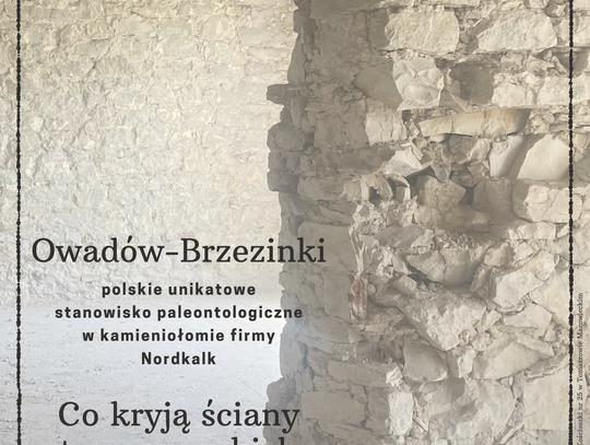 A może było tu morze? A może było tu morze?