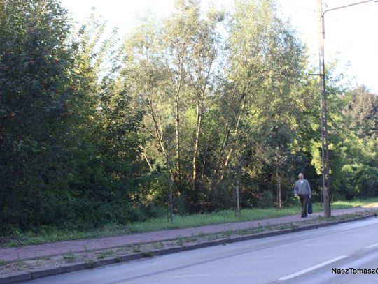 Może i jest w tym jakaś logika