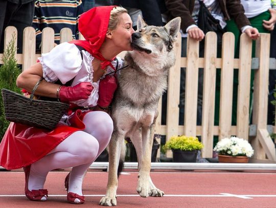 Mózgi psów są dostrojone do mowy kobiet