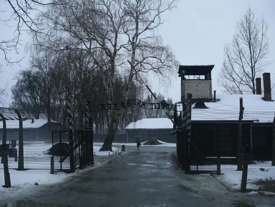 Muzeum Auschwitz: nowy projekt edukacyjny dla młodzieży z Europy