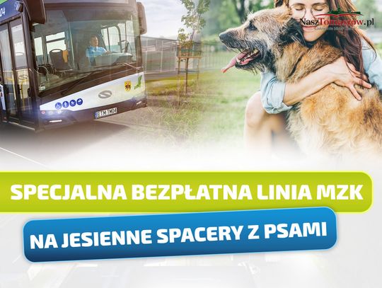 MZK uruchamia bezpłatną linię do „Puszka Okruszka”. W weekend można pojechać na spacer z psiakiem