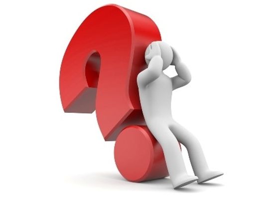 Na jaki komitet oddasz swój głos?