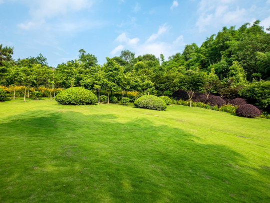 Na jaki styl ogrodu się zdecydować? Poznaj trendy w 2025 roku