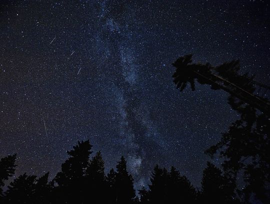 Najintensywniejszy letni rój spadających gwiazd już aktywny