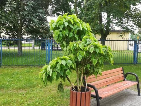 Najlepiej wszystko zniszczyć i nie będzie ... niczego