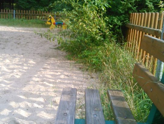 Natura blisko dzieci