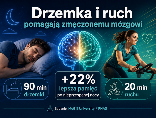 Nie spałeś całą noc? 20 minut ruchu może pomóc mózgowi niemal tak jak 90-minutowa drzemka