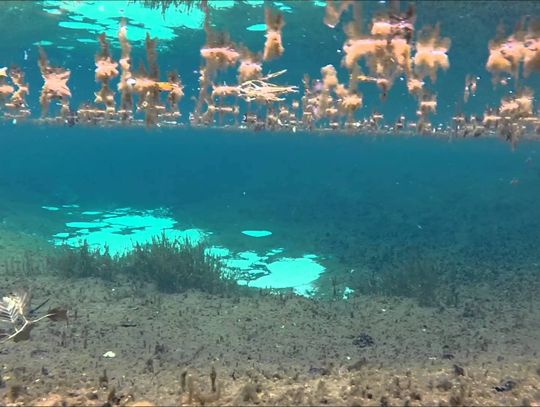 Nie wypada nie opublikować