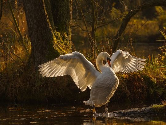 Niebieskie Źródła - spacer o każdej porze roku