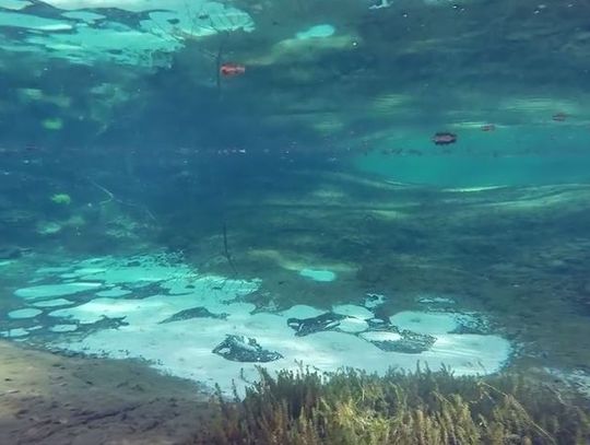 Niebiesko i zielono, czyli.... sami zobaczcie