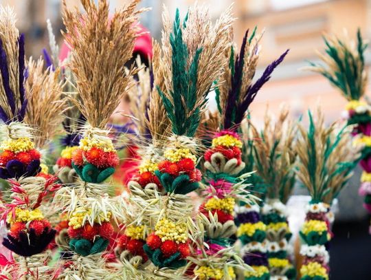 Niedziela Palmowa otwiera w Kościele Wielki Tydzień