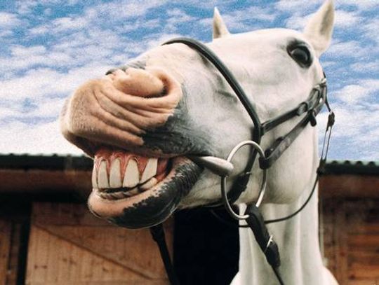 No to sobie pożartujemy