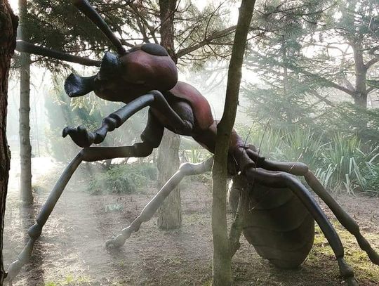 Nocny spacer wśród gigantycznych owadów