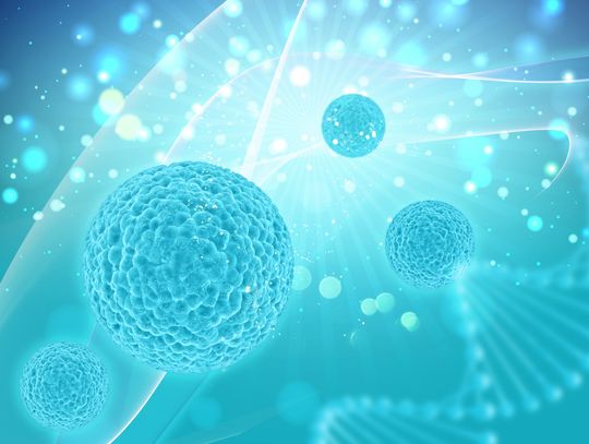 Nowa terapia raka piersi w pierwszej kolejności do refundacji według onkologów klinicznych