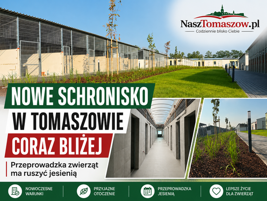 Nowe schronisko w Tomaszowie coraz bliżej. Przeprowadzka zwierząt ma ruszyć jesienią