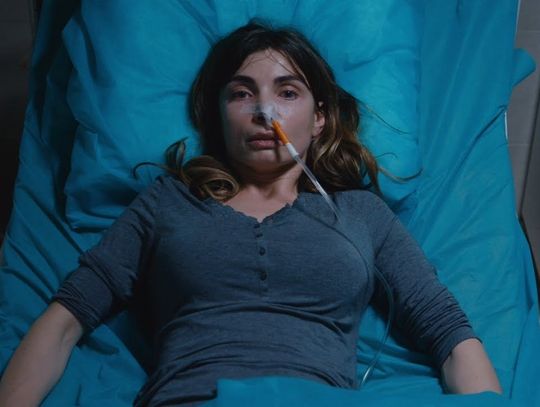 Nowy Pitbull od 15 marca w Heliosie