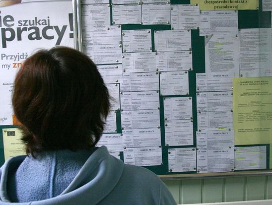 Odrobina statystyki dotyczącej bezrobocia