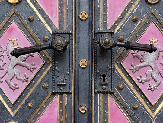 Ogrodzenia drewniane vs metalowe – które lepiej się sprawdzą?