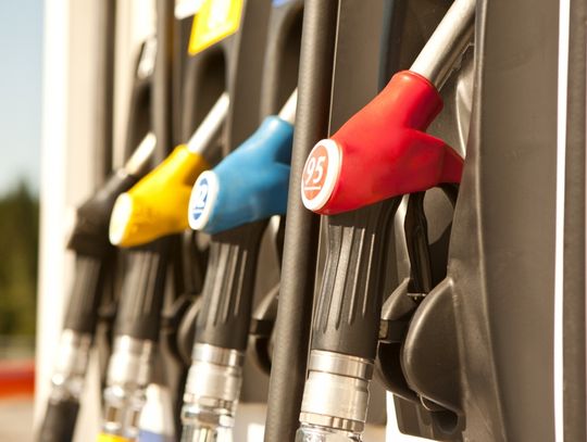 Opłaty środowiskowe - co warto o nich wiedzieć?