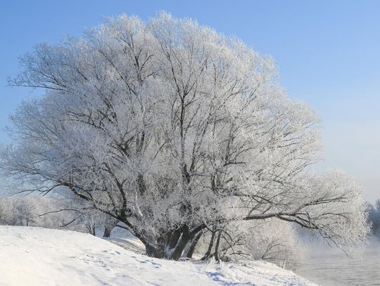 Padły kolejne rekordy zimna; dzisiejsza noc ma być cieplejsza