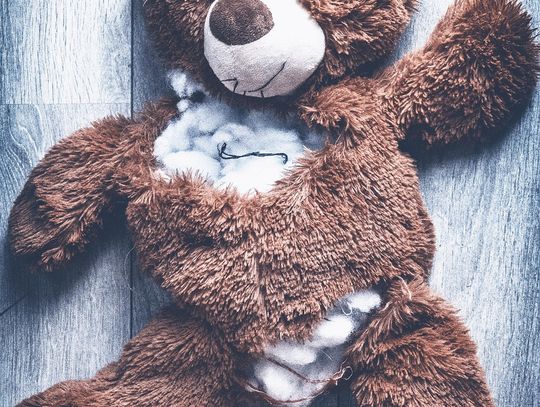 Państwowa Komisja ds. pedofilii apeluje o wdrożenie projektu ws. blokowania nielegalnych treści w internecie