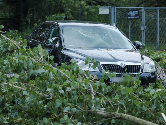 Państwowa Straż Pożarna: 3 036 zdarzeń atmosferycznych do godz. 20.00