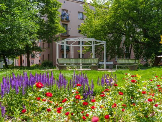 Park Różany powstał na ul. Zagajnikowej i Akacjowej Park Różany powstał na ul. Zagajnikowej i Akacjowej