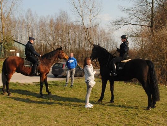 Patrolują konno okolice Zalewu Sulejowskiego