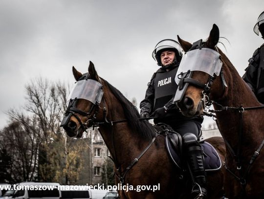 Pełnią służbę na czterech nogach