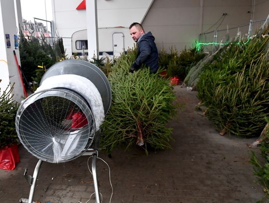 Personnel Service: mimo niepewności biznes świąteczny zatrudnia nowych pracowników