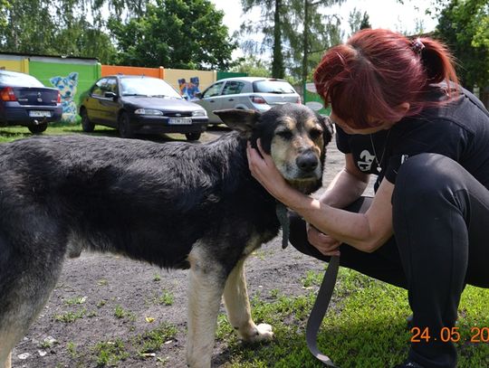 Piszę to i płaczę...Błagam o pomoc dla Azora!