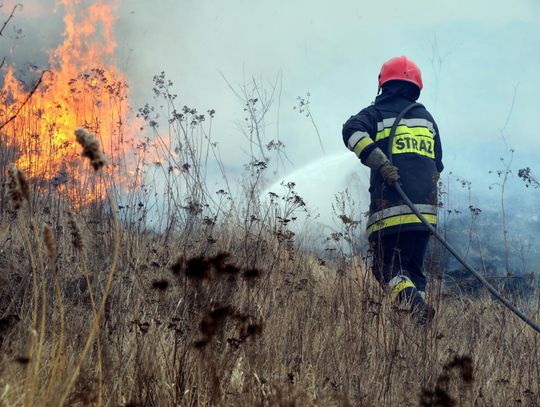 Płoną trawy. Tomaszowscy strażacy co roku mają co robić