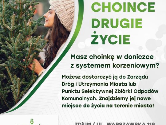 Podaruj świątecznemu drzewku drugie życie