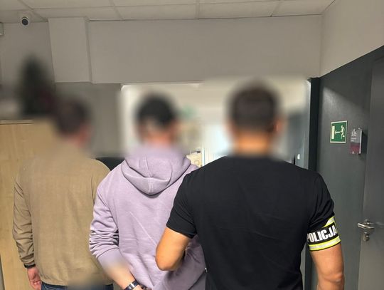 Policja zlikwidowała uprawę konopi w gminie Paradyż. 24-latek z zarzutami