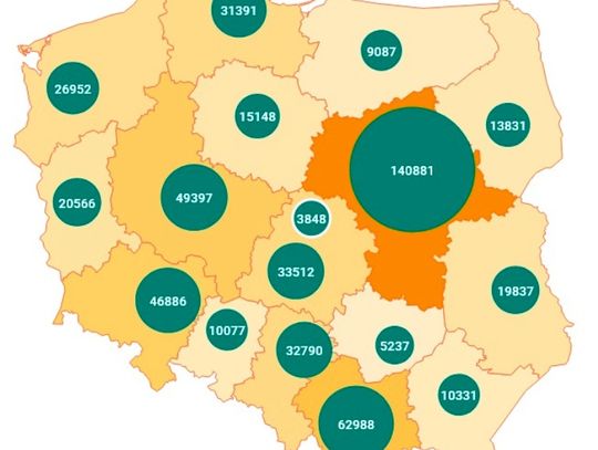 Polska gospodarka potrzebuje cudzoziemców