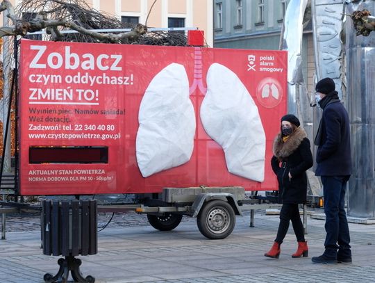 Polski Alarm Smogowy ustawi „oddychające płuca” w 40 miastach