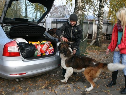 Pomagają nie tylko ludziom