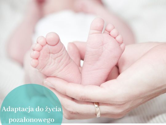 „Poród od strony dziecka” – poniedziałkowe spotkanie w Szkole Rodzenia