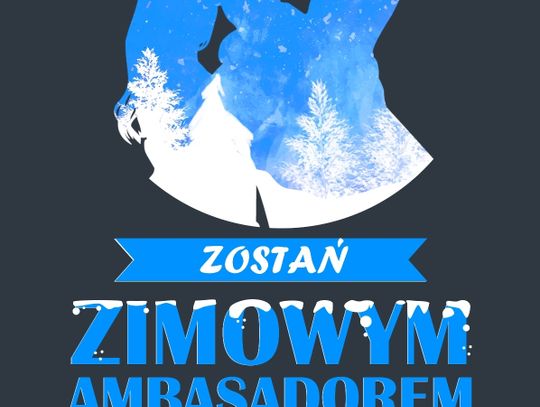 Poszukujemy Zimowego Ambasadora Areny