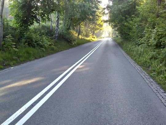 Powiatówką do lasu 