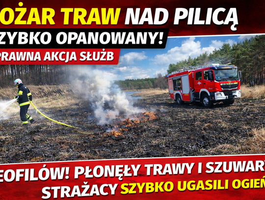Pożar traw nad Pilicą szybko opanowany. Sprawna akcja służb